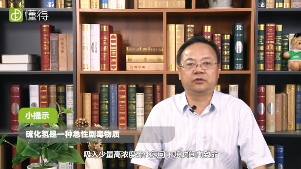硫化氫是什么-一種急性劇毒物質