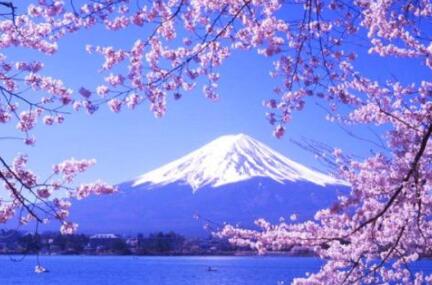 日本的櫻花季節(jié)是什么時候